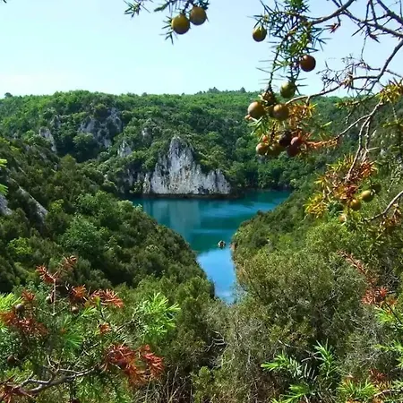- Piscine - Ccbbabd Camping Quinson