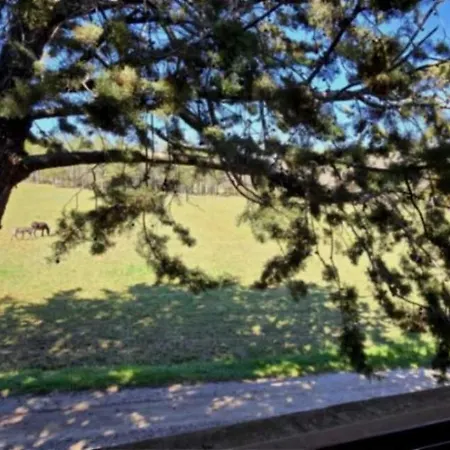 Camping - Piscine - Ccbbabd *