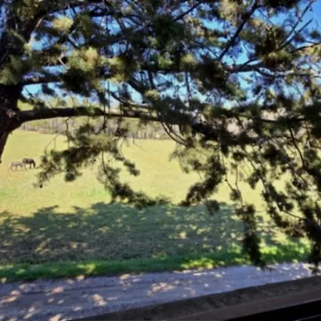 - Piscine - Ccbbabd * Quinson